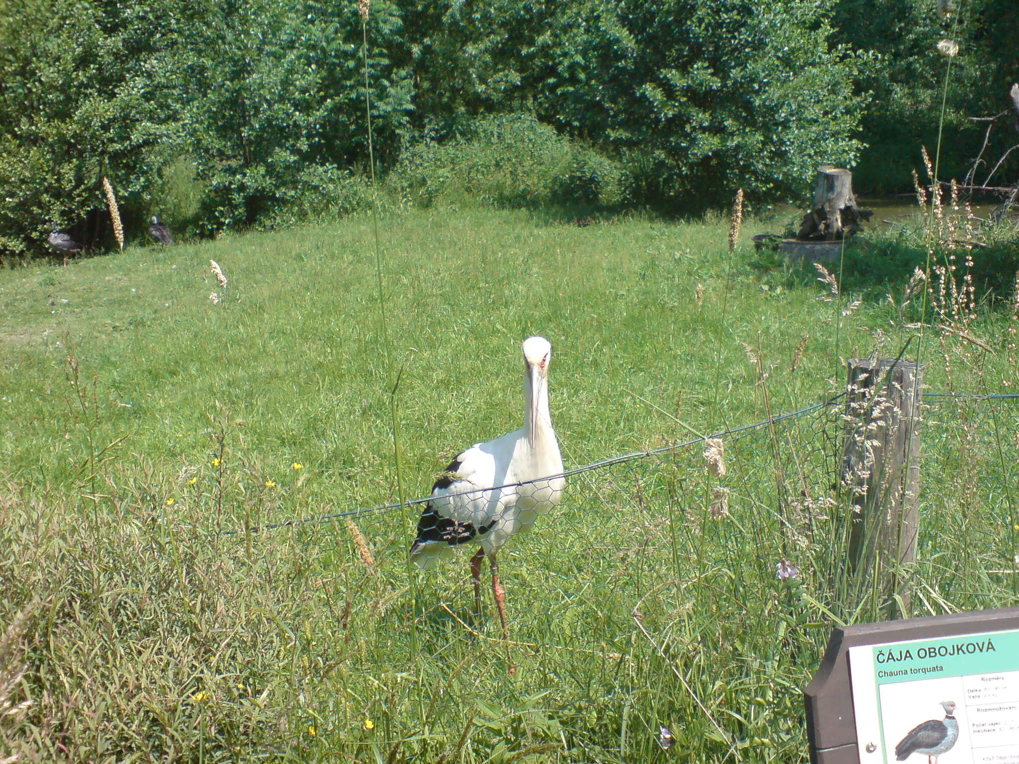 DSC00050.JPG