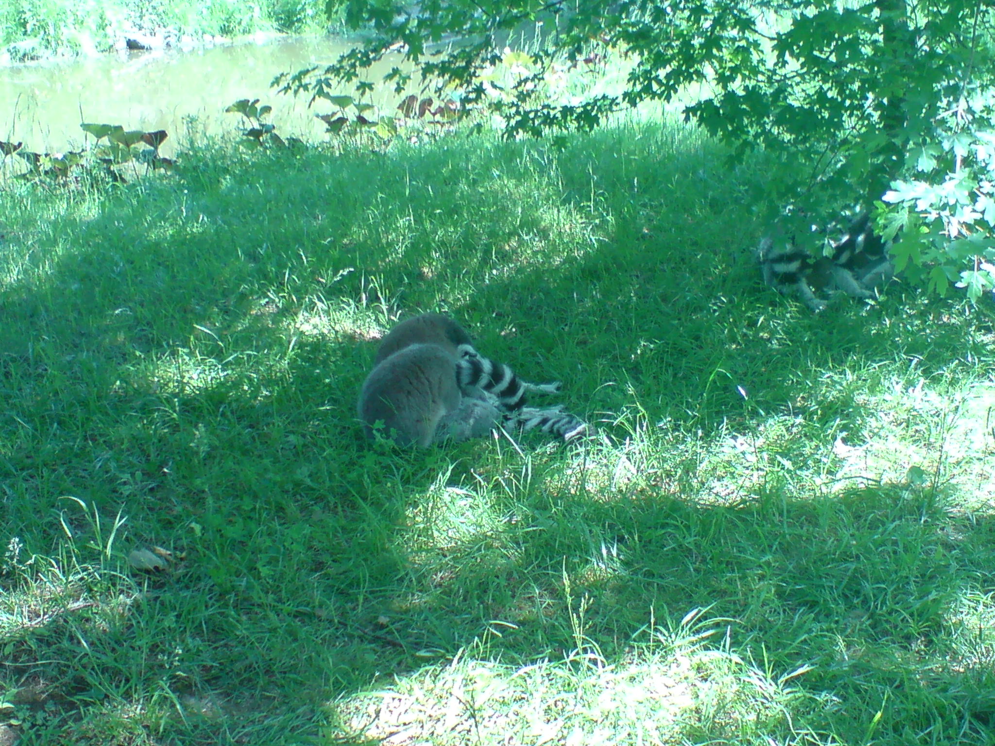 DSC00058.JPG