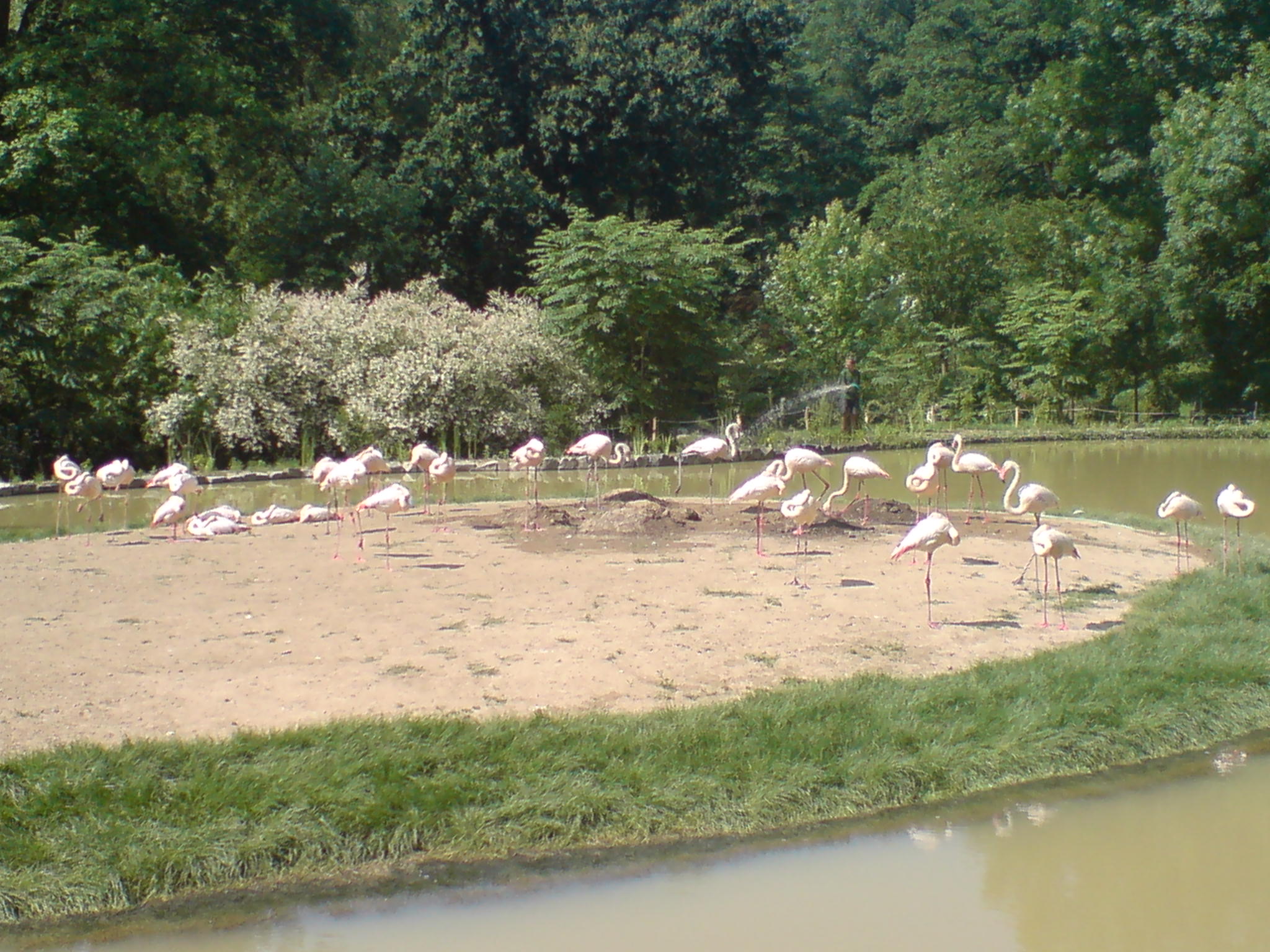DSC00059.JPG
