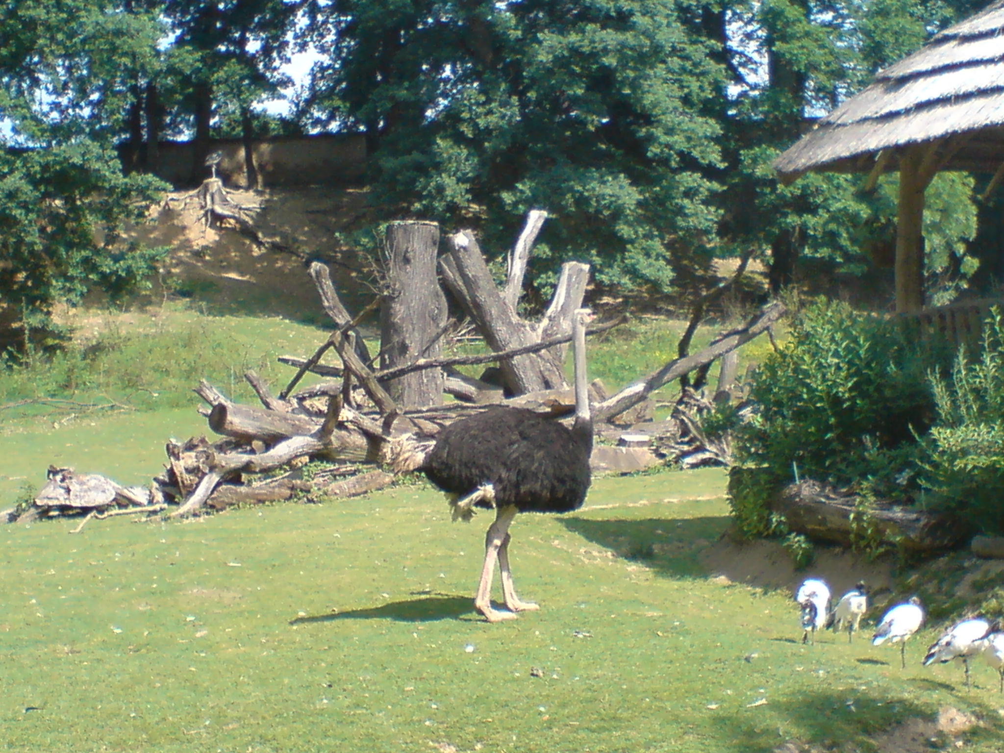 DSC00062.JPG