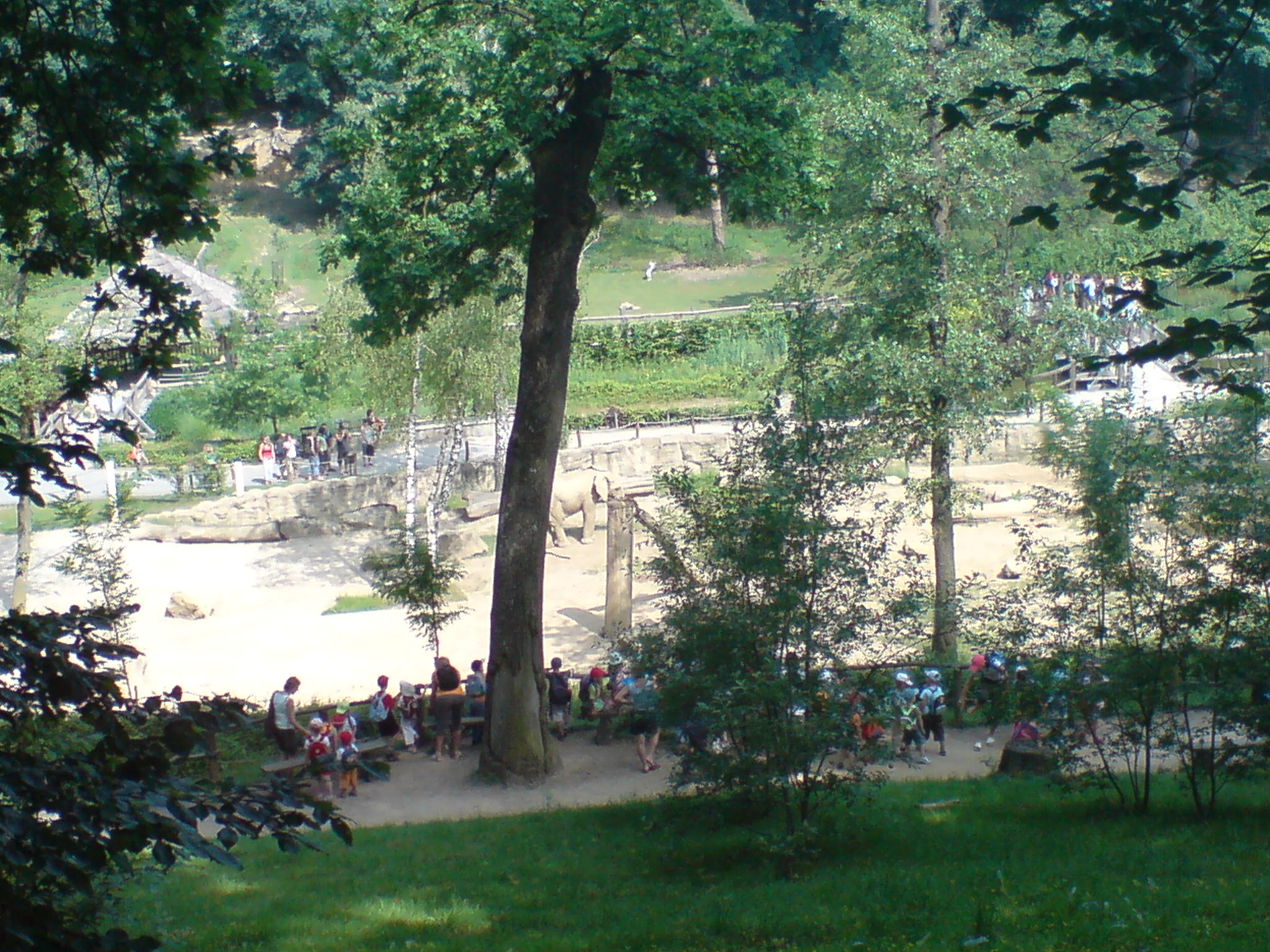 DSC00064.JPG