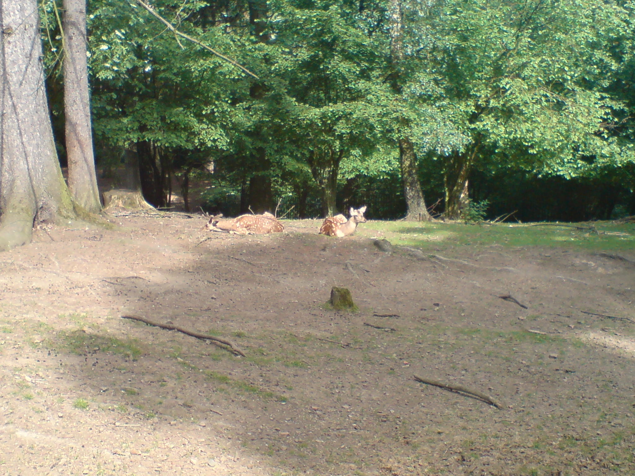 DSC00066.JPG